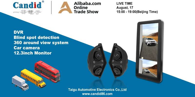 Transmissão ao vivo do programa